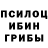 Псилоцибиновые грибы Cubensis TheByka