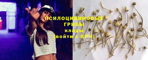 соль ск Лиски