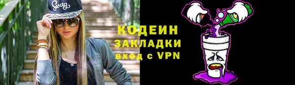 хмурый Покачи