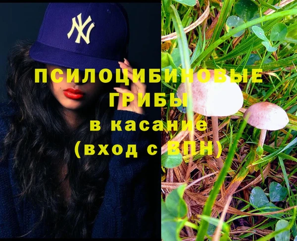 соль ск Лиски