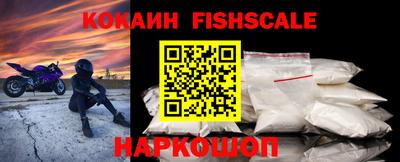 прущие грибы Камышлов