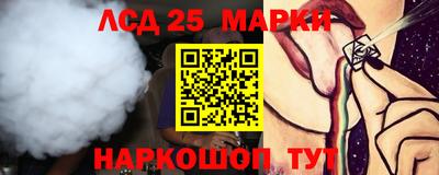 прущие грибы Камышлов