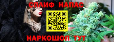 apvp Кандалакша