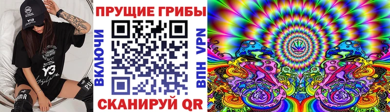 купить закладку  Топки  Псилоцибиновые грибы Psilocybe 