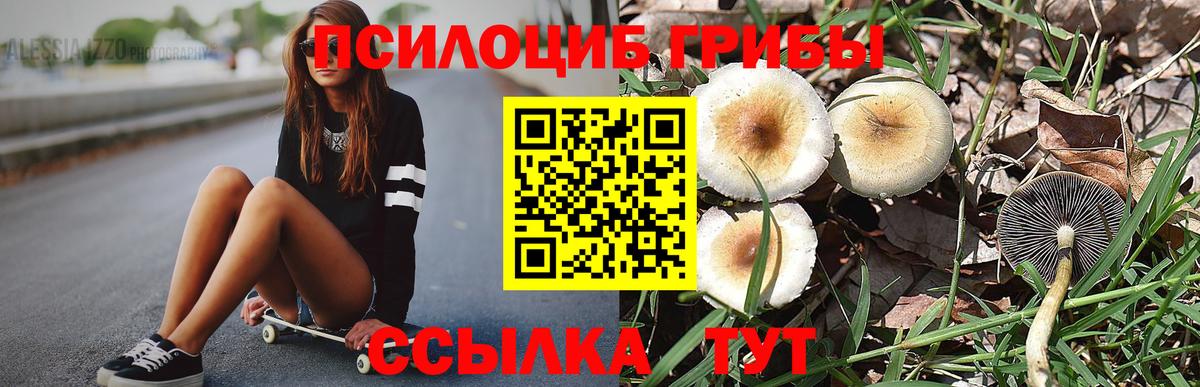 Топки  Псилоцибиновые грибы мухоморы  Вход с VPN  Галлюциногенные грибы мухоморы 